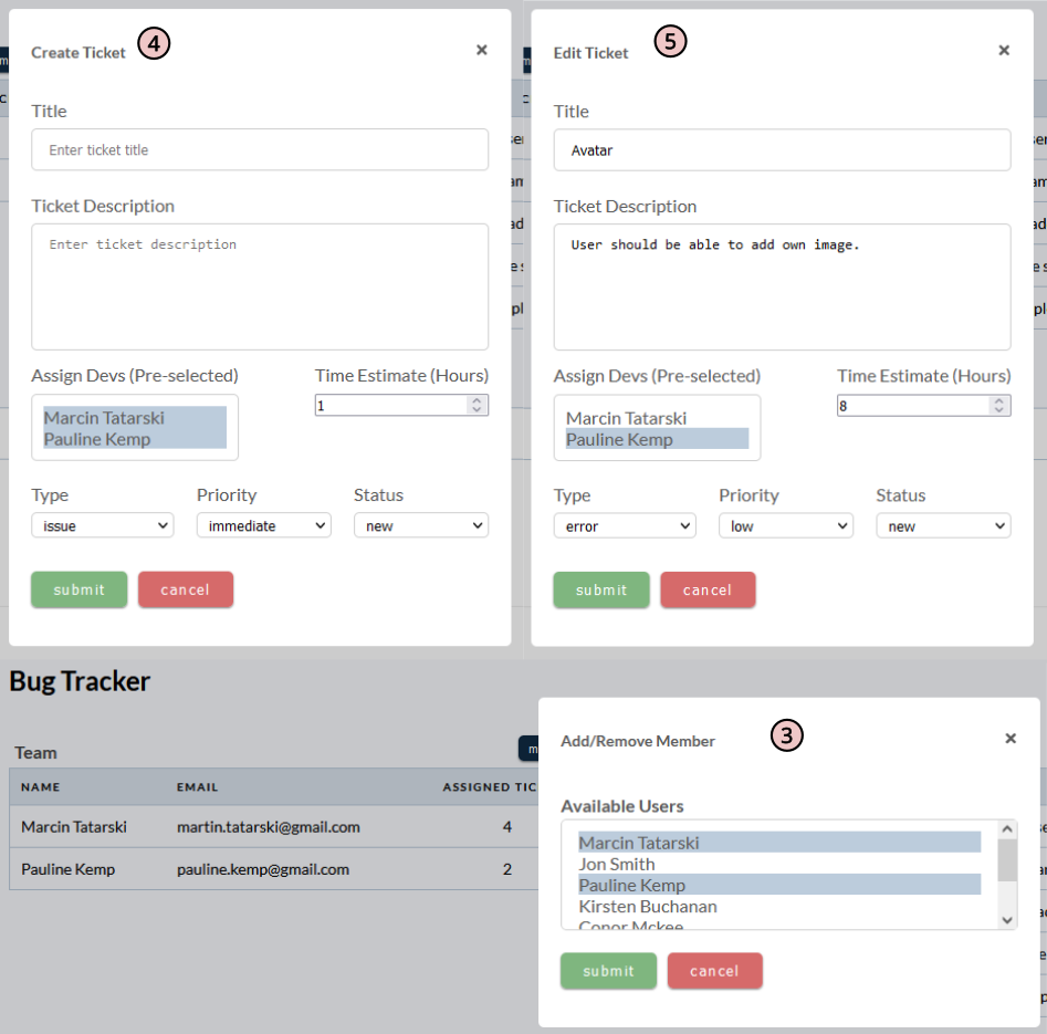 project modal window