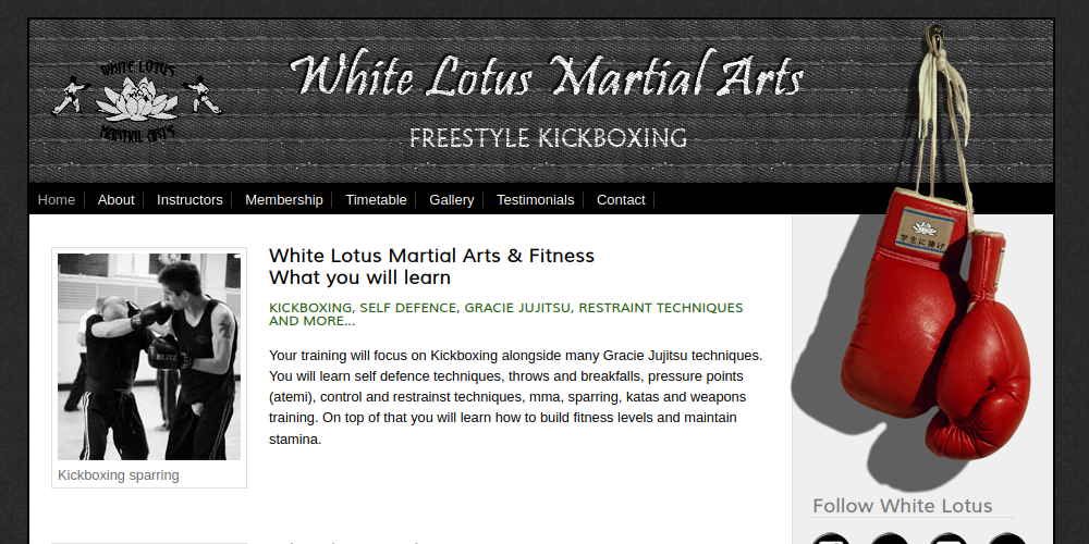 White Lotus Martial Arts thumbnail